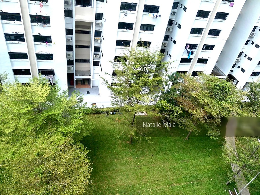 Blk 303 Clementi Avenue 4 (Clementi), HDB 4 Rooms #201675752